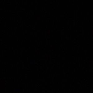 Meet your Posher, Lola